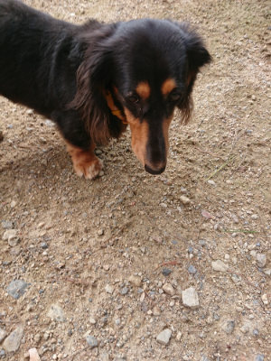 f:id:roukenhome-ann:20190825202641j:plain