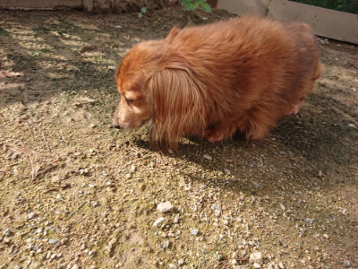 f:id:roukenhome-ann:20190825202647j:plain
