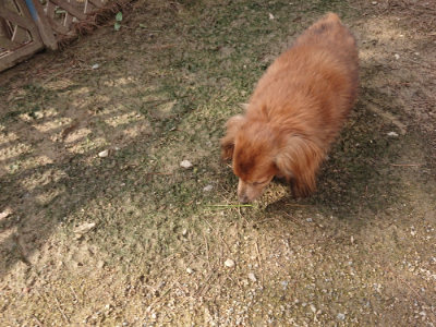 f:id:roukenhome-ann:20190825202702j:plain