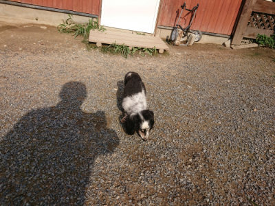 f:id:roukenhome-ann:20190825202708j:plain