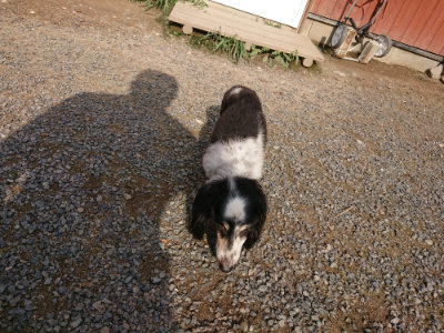 f:id:roukenhome-ann:20190825202730j:plain