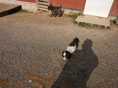 f:id:roukenhome-ann:20190825202846j:plain