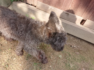 f:id:roukenhome-ann:20190825202855j:plain