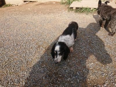 f:id:roukenhome-ann:20190825202903j:plain