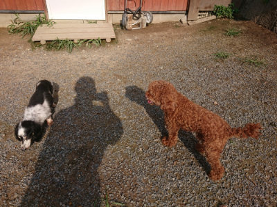 f:id:roukenhome-ann:20190825202910j:plain