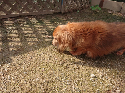 f:id:roukenhome-ann:20190825202917j:plain