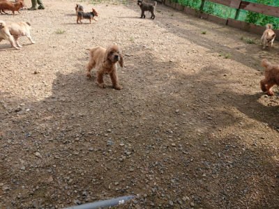 f:id:roukenhome-ann:20190825203036j:plain