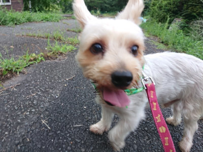 f:id:roukenhome-ann:20190825204007j:plain