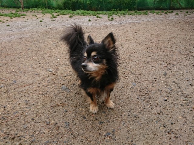 f:id:roukenhome-ann:20190826122242j:plain f:id:roukenhome-ann:20190826122242j:plain