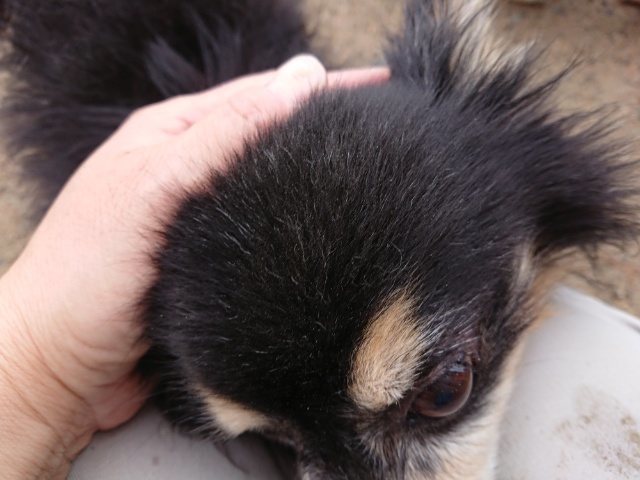 f:id:roukenhome-ann:20190826122306j:plain f:id:roukenhome-ann:20190826122306j:plain