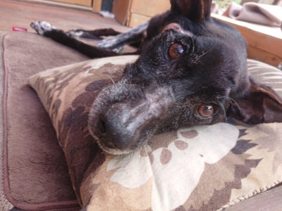 f:id:roukenhome-ann:20190826124337j:plain