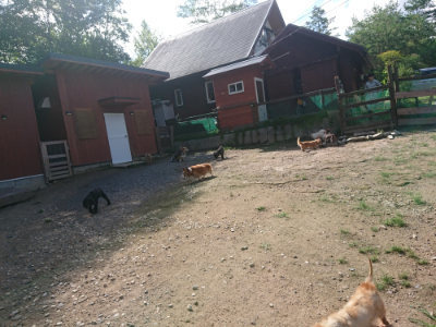 f:id:roukenhome-ann:20190826150658j:plain