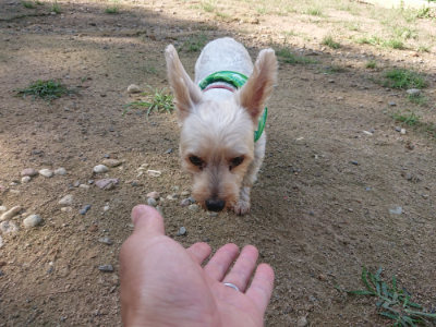 f:id:roukenhome-ann:20190826150733j:plain