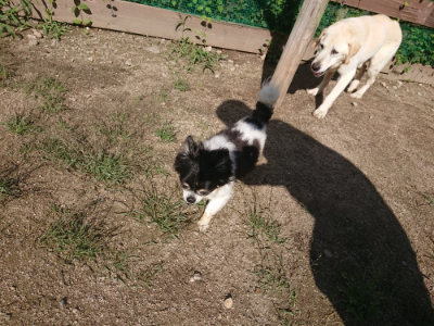 f:id:roukenhome-ann:20190826150814j:plain
