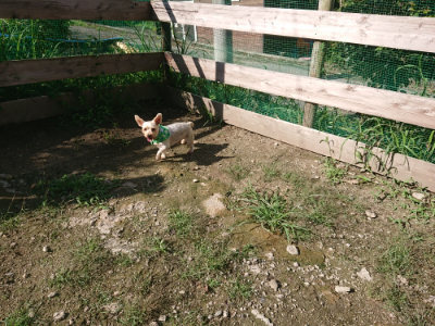 f:id:roukenhome-ann:20190826150822j:plain