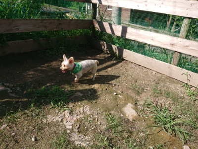 f:id:roukenhome-ann:20190826150828j:plain