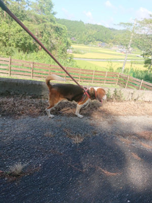 f:id:roukenhome-ann:20190826150950j:plain