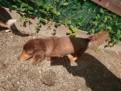 f:id:roukenhome-ann:20190826151004j:plain