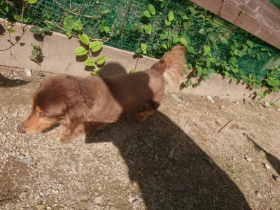 f:id:roukenhome-ann:20190826151020j:plain