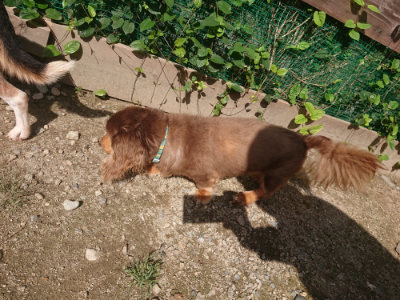 f:id:roukenhome-ann:20190826151027j:plain