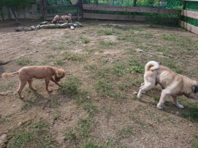 f:id:roukenhome-ann:20190826151741j:plain