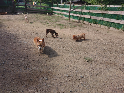 f:id:roukenhome-ann:20190826151830j:plain