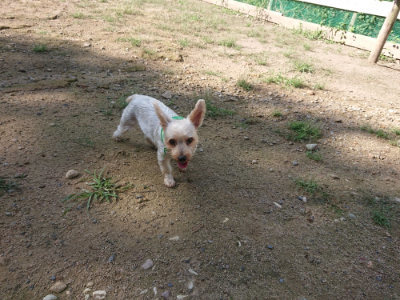 f:id:roukenhome-ann:20190826151936j:plain