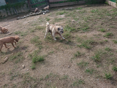 f:id:roukenhome-ann:20190826152112j:plain