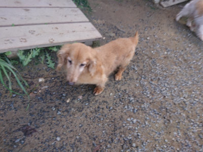 f:id:roukenhome-ann:20190826173712j:plain