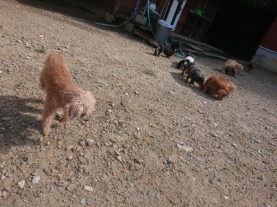 f:id:roukenhome-ann:20190826173718j:plain