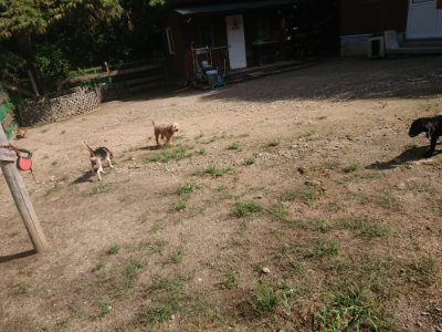 f:id:roukenhome-ann:20190826173744j:plain