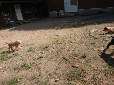 f:id:roukenhome-ann:20190826173824j:plain