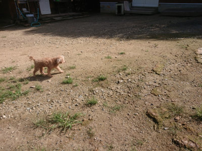 f:id:roukenhome-ann:20190826173832j:plain