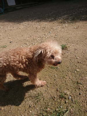 f:id:roukenhome-ann:20190826173854j:plain