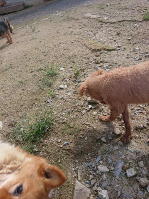 f:id:roukenhome-ann:20190826173908j:plain