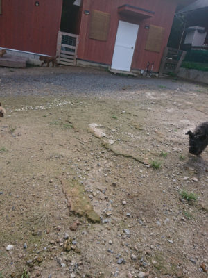 f:id:roukenhome-ann:20190826173914j:plain