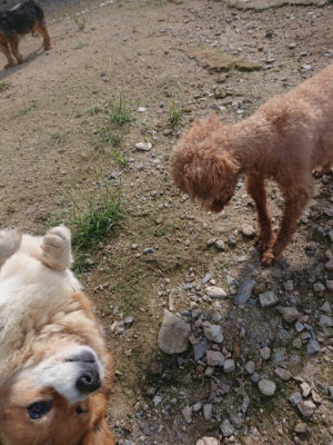 f:id:roukenhome-ann:20190826173938j:plain