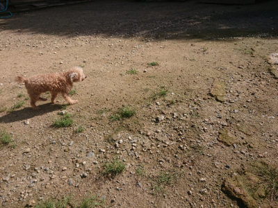 f:id:roukenhome-ann:20190826173944j:plain
