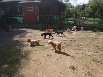 f:id:roukenhome-ann:20190826174013j:plain