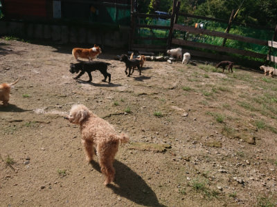 f:id:roukenhome-ann:20190826174040j:plain