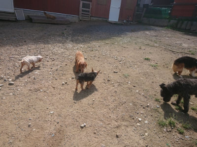f:id:roukenhome-ann:20190826174047j:plain