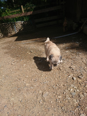 f:id:roukenhome-ann:20190826174105j:plain