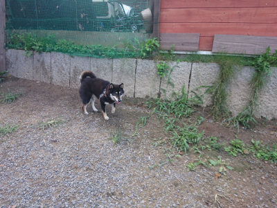 f:id:roukenhome-ann:20190826181616j:plain