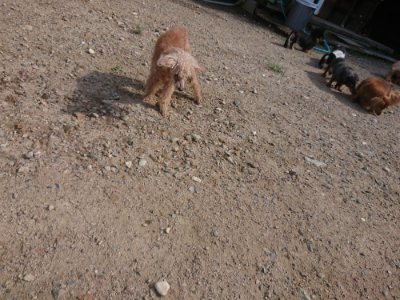 f:id:roukenhome-ann:20190826181635j:plain