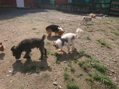 f:id:roukenhome-ann:20190826181703j:plain
