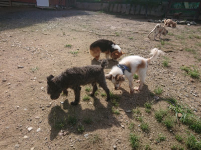 f:id:roukenhome-ann:20190826181722j:plain