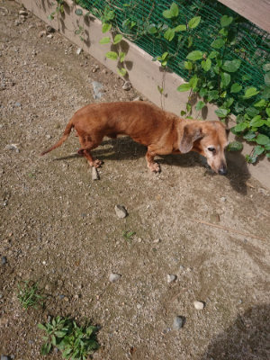 f:id:roukenhome-ann:20190826181729j:plain
