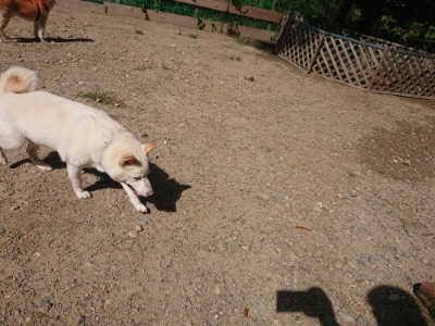 f:id:roukenhome-ann:20190826181735j:plain