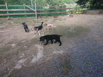 f:id:roukenhome-ann:20190826181807j:plain