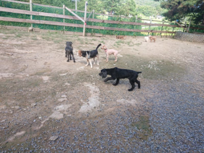 f:id:roukenhome-ann:20190826181833j:plain